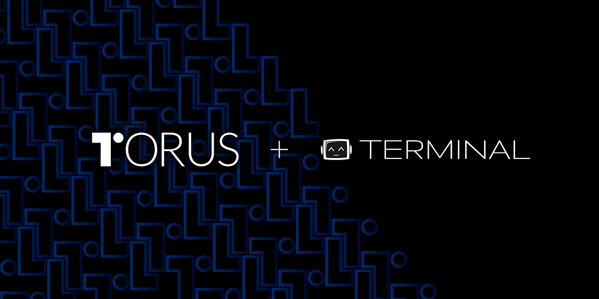 Integrate Torus with Terminal for Essential Web3 Product Intelligence